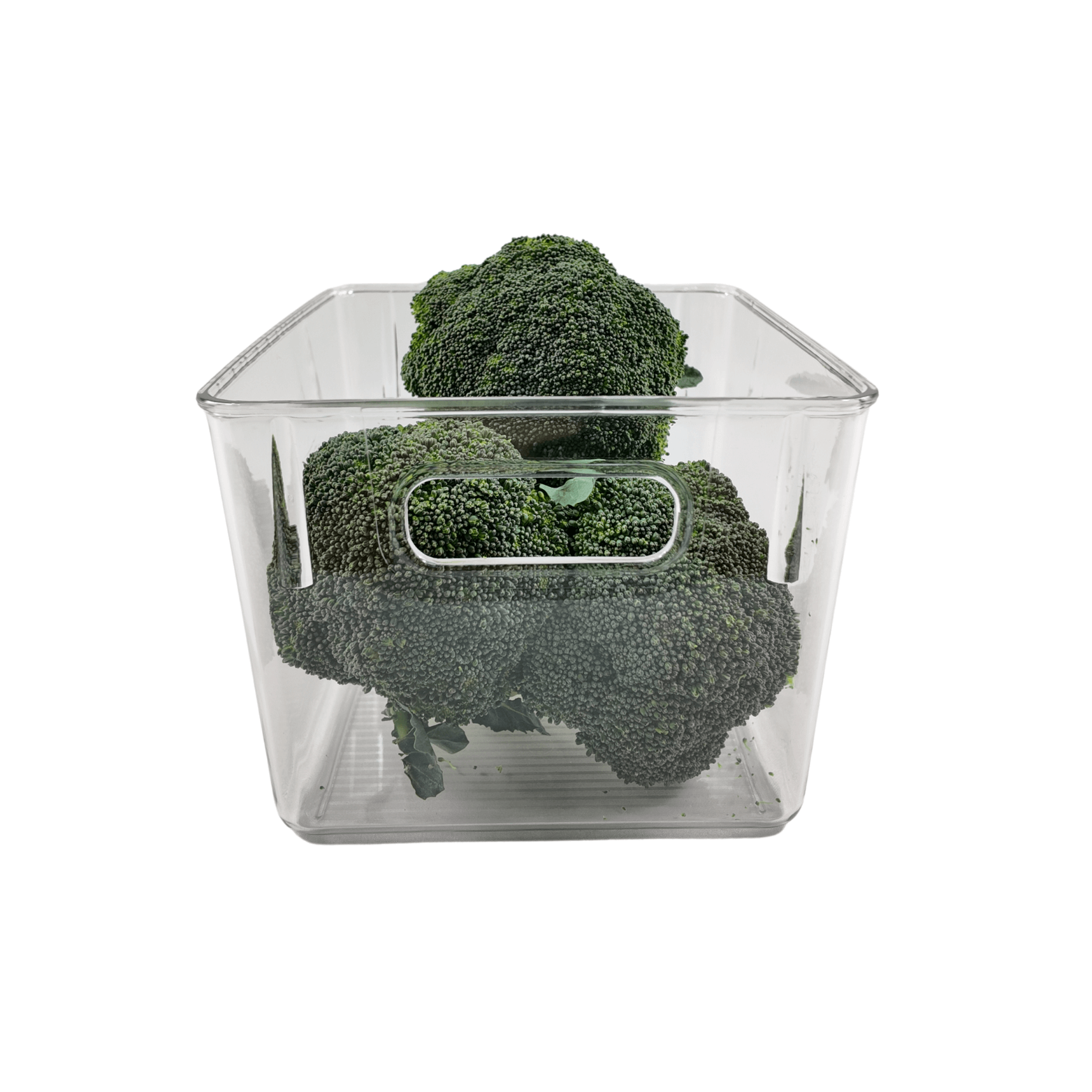 Clear fridge container holding broccoli for organized pantry storage.